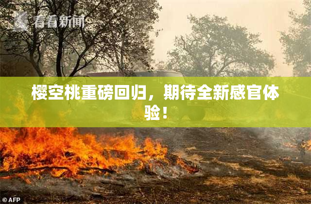 樱空桃重磅回归，期待全新感官体验！