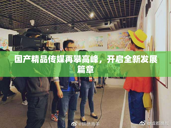 国产精品传媒再攀高峰，开启全新发展篇章