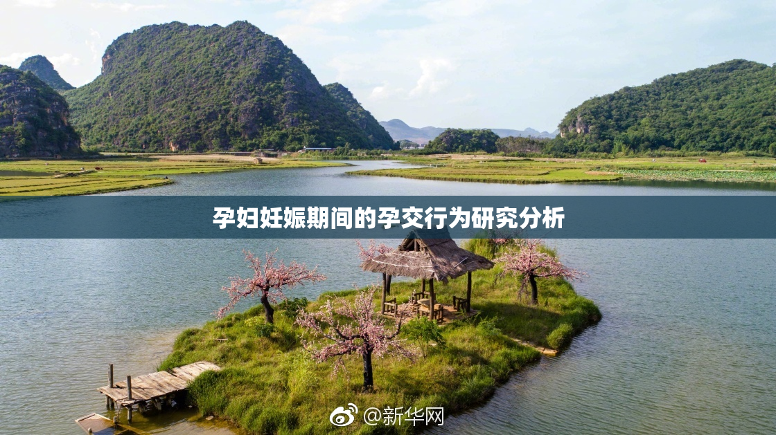 孕妇妊娠期间的孕交行为研究分析