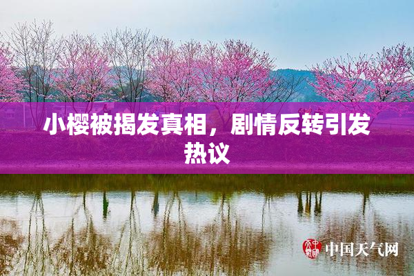 小樱被揭发真相，剧情反转引发热议