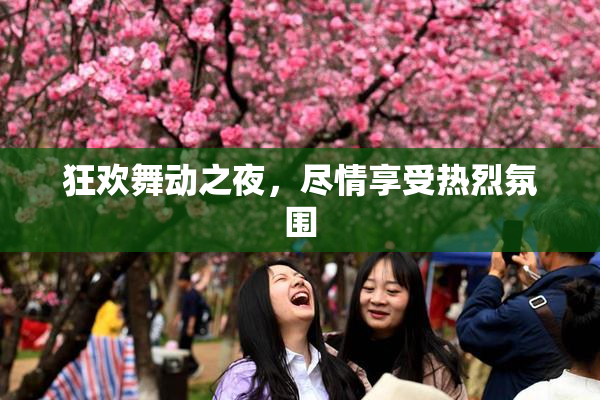 狂欢舞动之夜，尽情享受热烈氛围