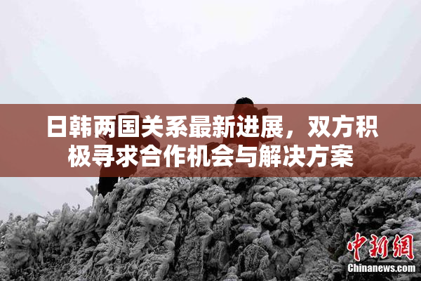 日韩两国关系最新进展，双方积极寻求合作机会与解决方案