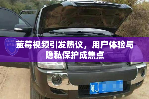蓝莓视频引发热议，用户体验与隐私保护成焦点