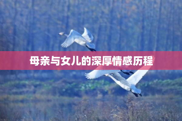 母亲与女儿的深厚情感历程