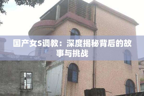国产女S调教：深度揭秘背后的故事与挑战