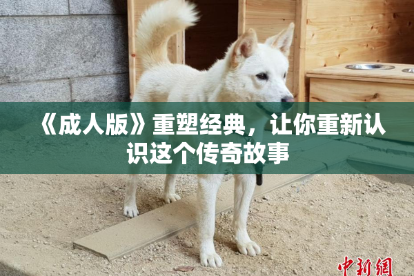 《成人版》重塑经典，让你重新认识这个传奇故事