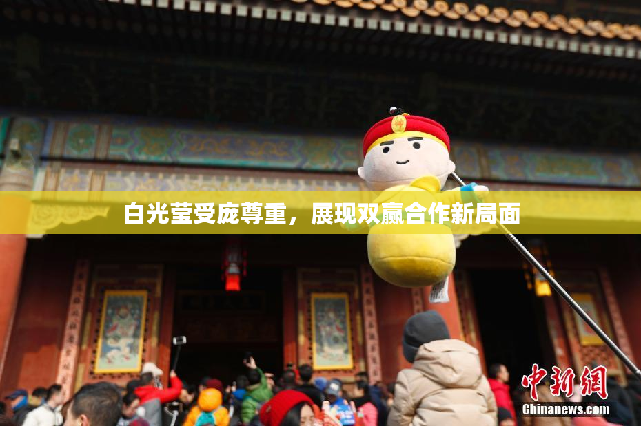 白光莹受庞尊重，展现双赢合作新局面