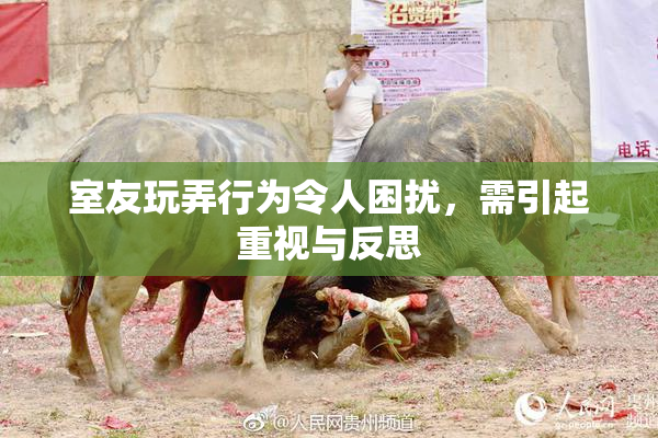 室友玩弄行为令人困扰，需引起重视与反思