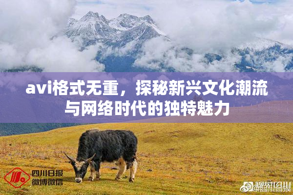 avi格式无重，探秘新兴文化潮流与网络时代的独特魅力
