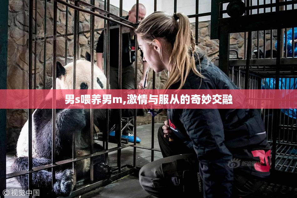 男s喂养男m,激情与服从的奇妙交融