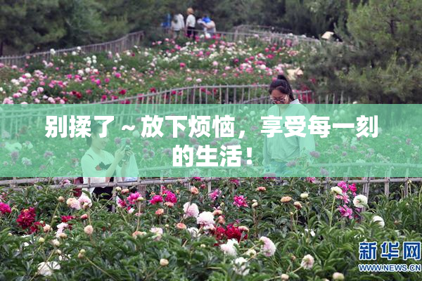 别揉了～放下烦恼，享受每一刻的生活！