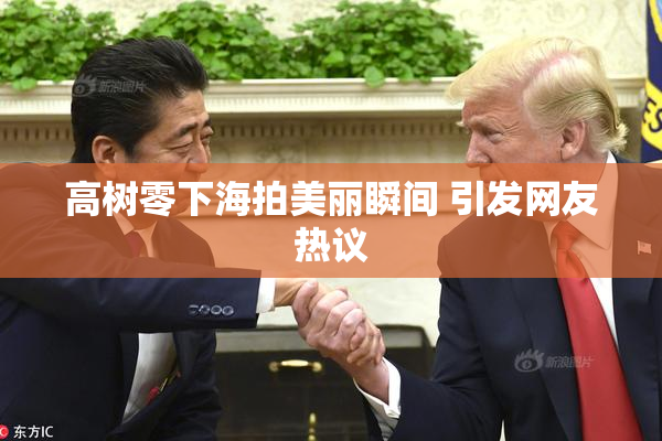 高树零下海拍美丽瞬间 引发网友热议