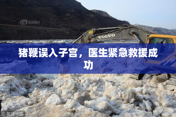 猪鞭误入子宫，医生紧急救援成功
