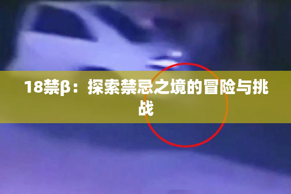 18禁β：探索禁忌之境的冒险与挑战
