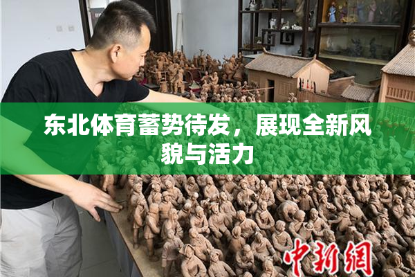 东北体育蓄势待发，展现全新风貌与活力