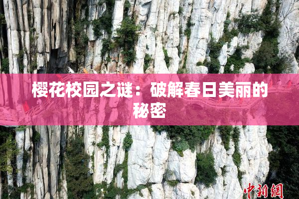 樱花校园之谜：破解春日美丽的秘密