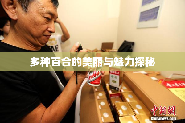 多种百合的美丽与魅力探秘