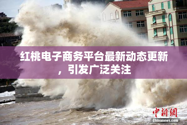 红桃电子商务平台最新动态更新，引发广泛关注