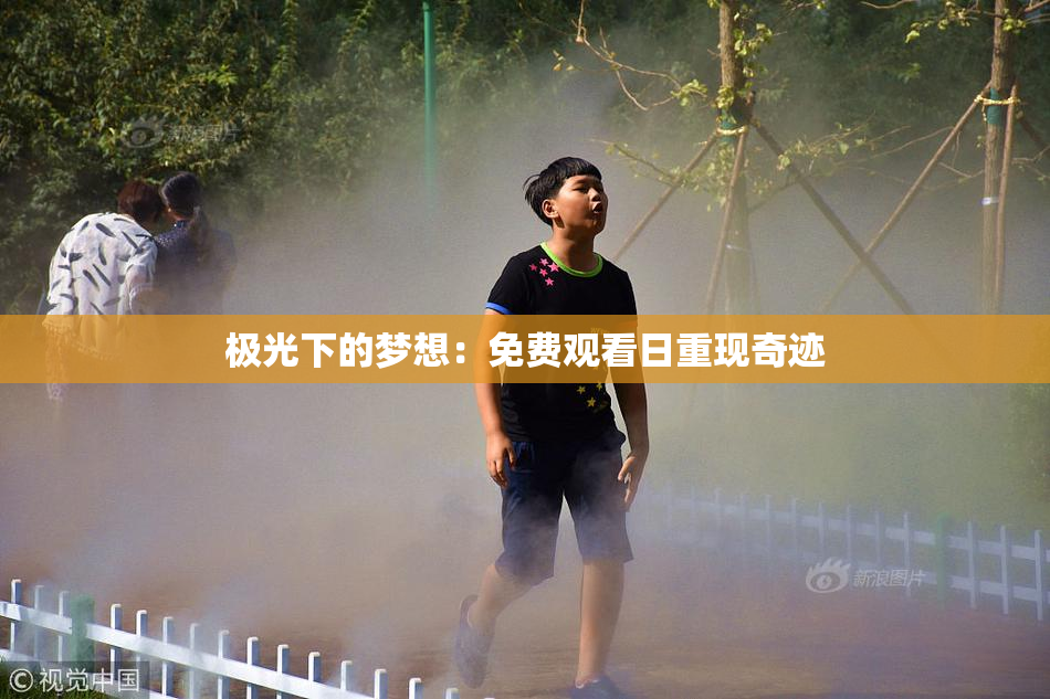 极光下的梦想：免费观看日重现奇迹
