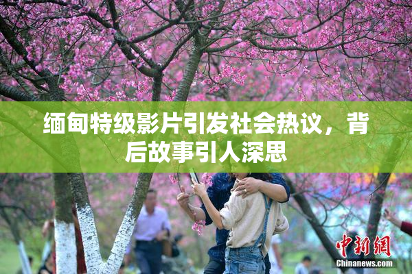 缅甸特级影片引发社会热议，背后故事引人深思