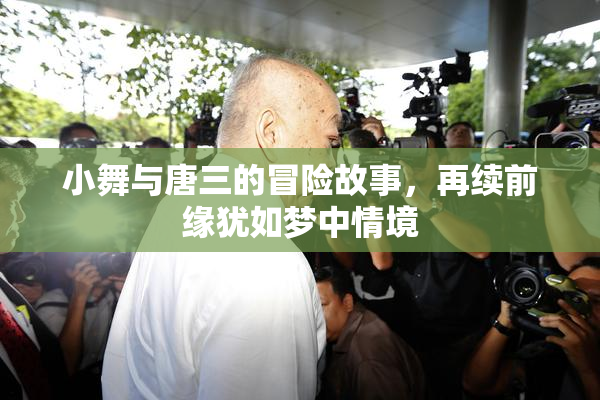 小舞与唐三的冒险故事，再续前缘犹如梦中情境