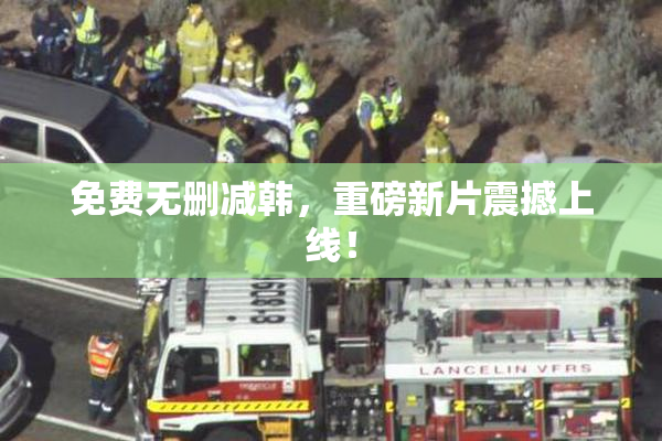 免费无删减韩，重磅新片震撼上线！