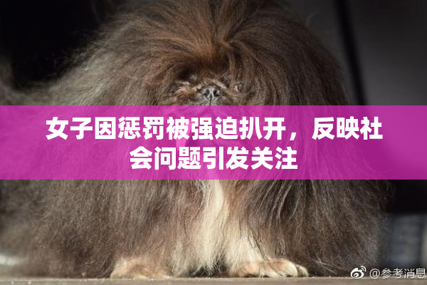 女子因惩罚被强迫扒开，反映社会问题引发关注