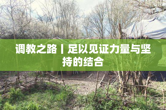 调教之路丨足以见证力量与坚持的结合