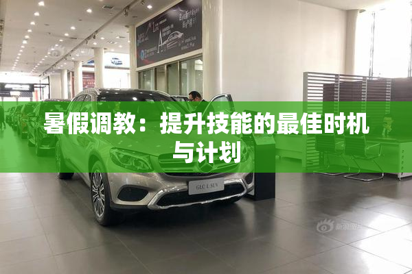 暑假调教：提升技能的最佳时机与计划