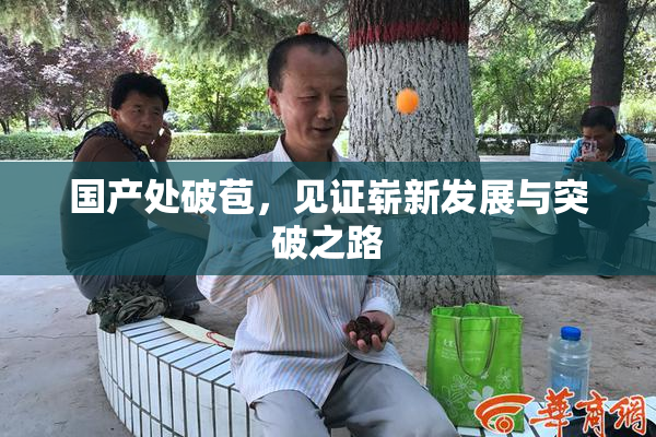 国产处破苞，见证崭新发展与突破之路