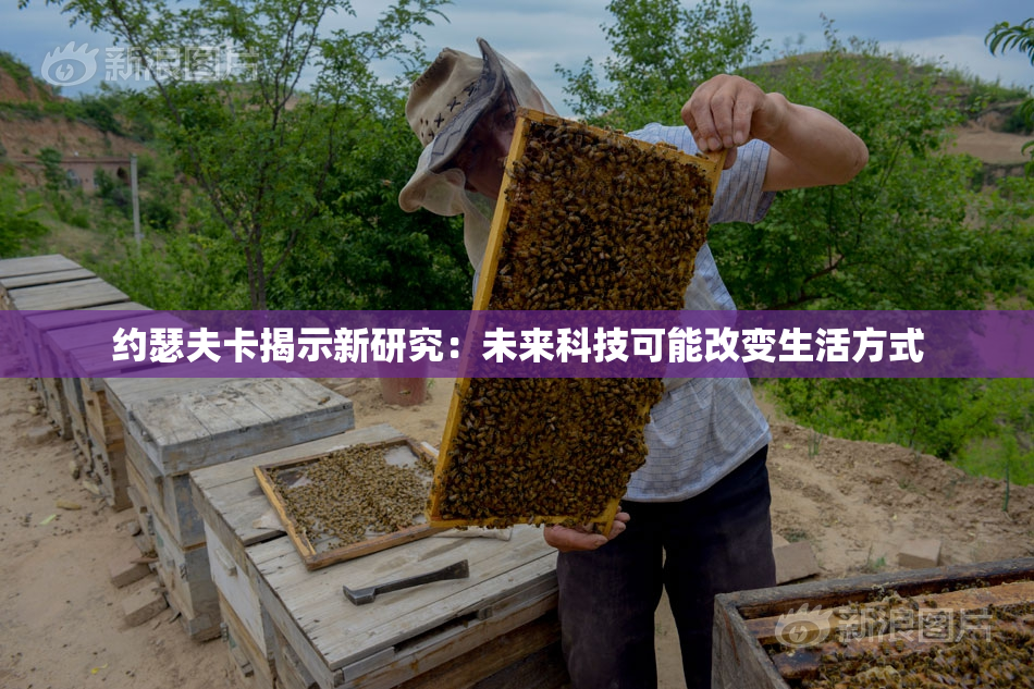 约瑟夫卡揭示新研究：未来科技可能改变生活方式