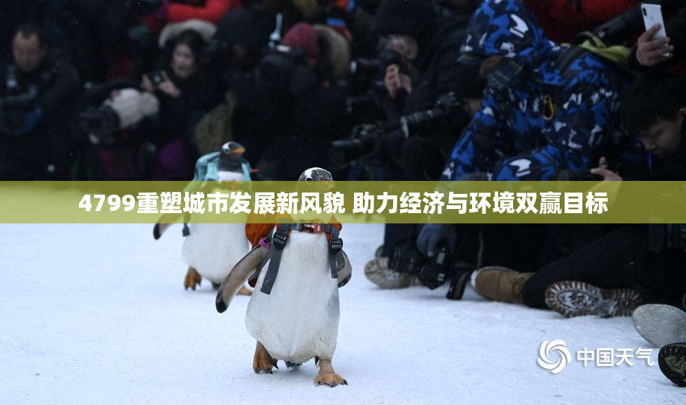 4799重塑城市发展新风貌 助力经济与环境双赢目标