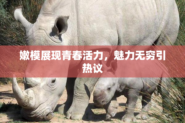 嫩模展现青春活力，魅力无穷引热议