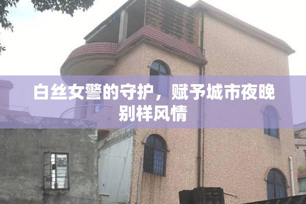 白丝女警的守护，赋予城市夜晚别样风情
