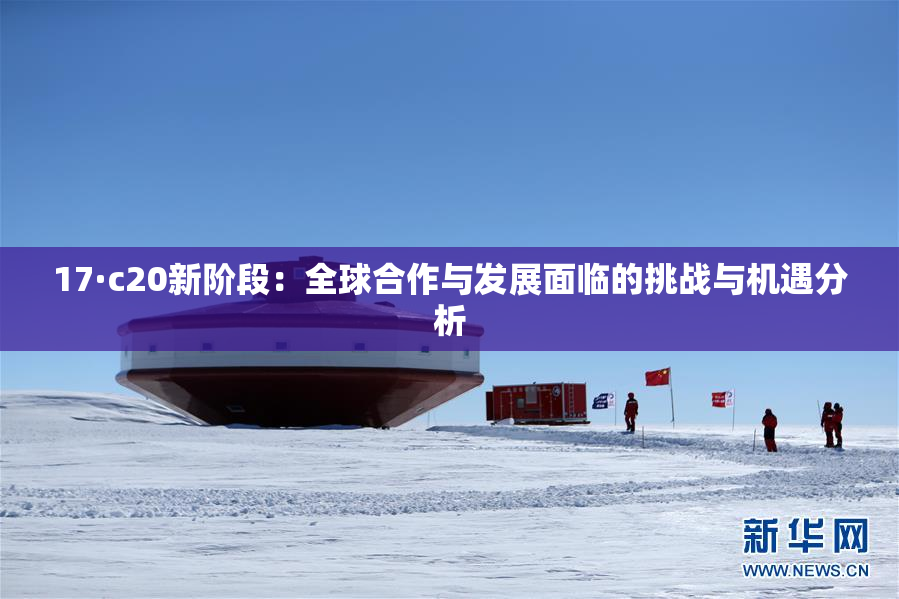 17·c20新阶段：全球合作与发展面临的挑战与机遇分析