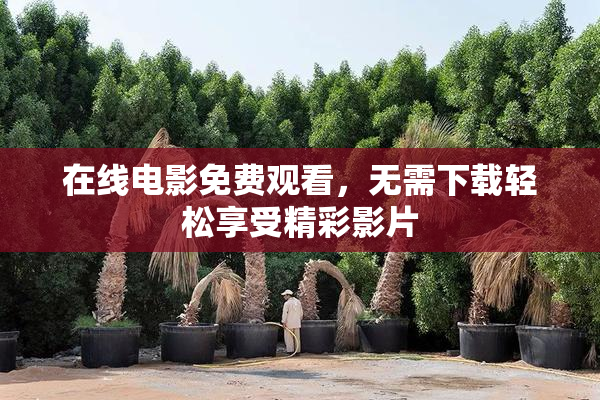 在线电影免费观看，无需下载轻松享受精彩影片