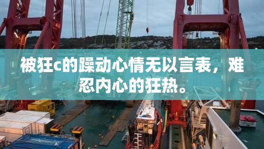 被狂c的躁动心情无以言表，难忍内心的狂热。