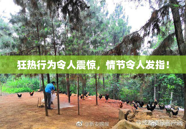 狂热行为令人震惊，情节令人发指！