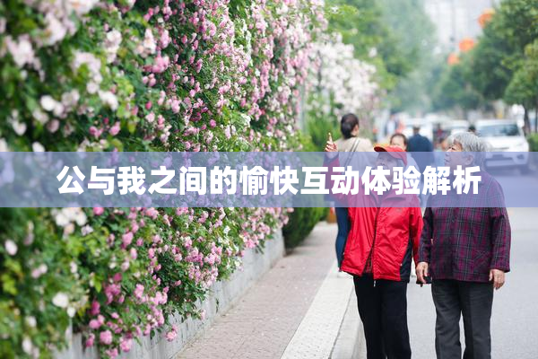 公与我之间的愉快互动体验解析