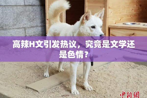 高辣H文引发热议，究竟是文学还是色情？