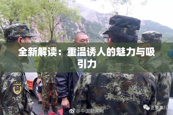 全新解读：重温诱人的魅力与吸引力