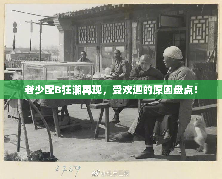 老少配B狂潮再现，受欢迎的原因盘点！
