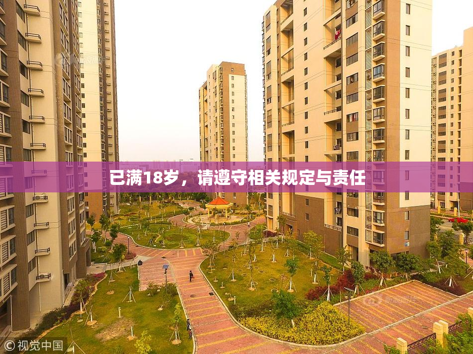 已满18岁，请遵守相关规定与责任