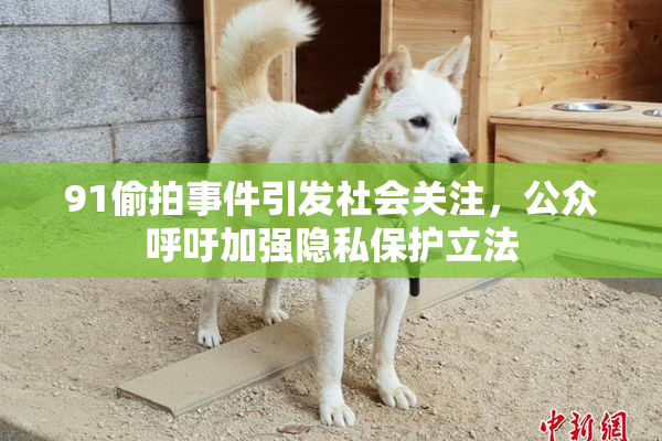 91偷拍事件引发社会关注，公众呼吁加强隐私保护立法