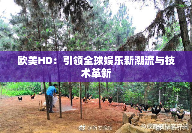 欧美HD：引领全球娱乐新潮流与技术革新