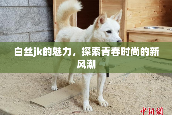 白丝jk的魅力，探索青春时尚的新风潮