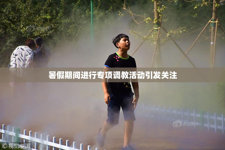 暑假期间进行专项调教活动引发关注