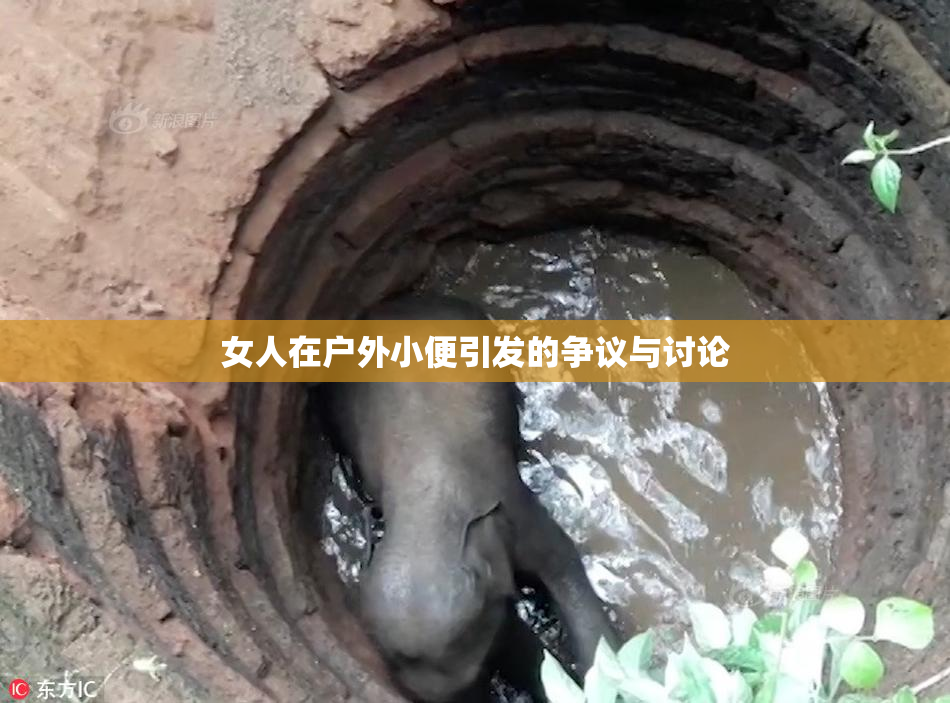 女人在户外小便引发的争议与讨论