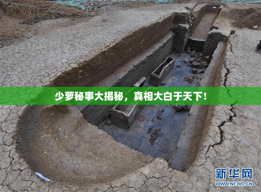 少萝秘事大揭秘，真相大白于天下！