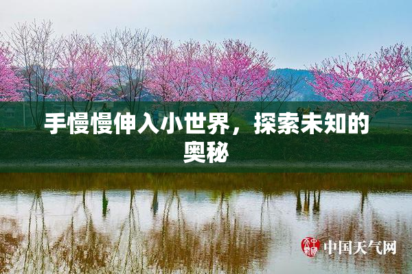 手慢慢伸入小世界，探索未知的奥秘